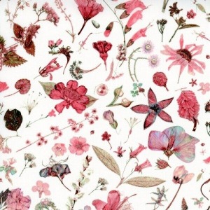 [Liberty Fabrics] Floral Eve B Tana Lawn™ Cotton 2022 Classic (유통상품)