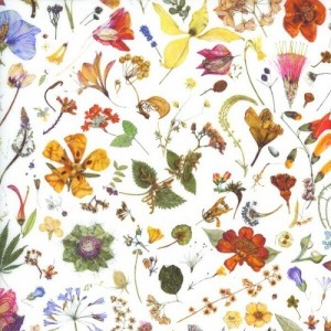 [Liberty Fabrics] Floral Eve A Tana Lawn™ Cotton 2022 Classic (유통상품)