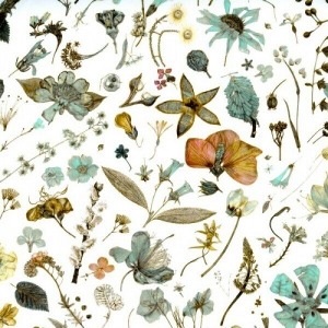 [Liberty Fabrics] Floral Eve C Tana Lawn™ Cotton 2022 Classic (유통상품)